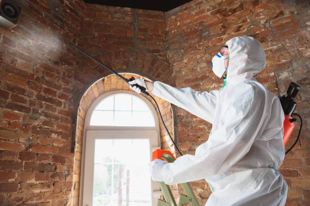 Best Residential Mold Inspection & Testing  in Woodlands, CA